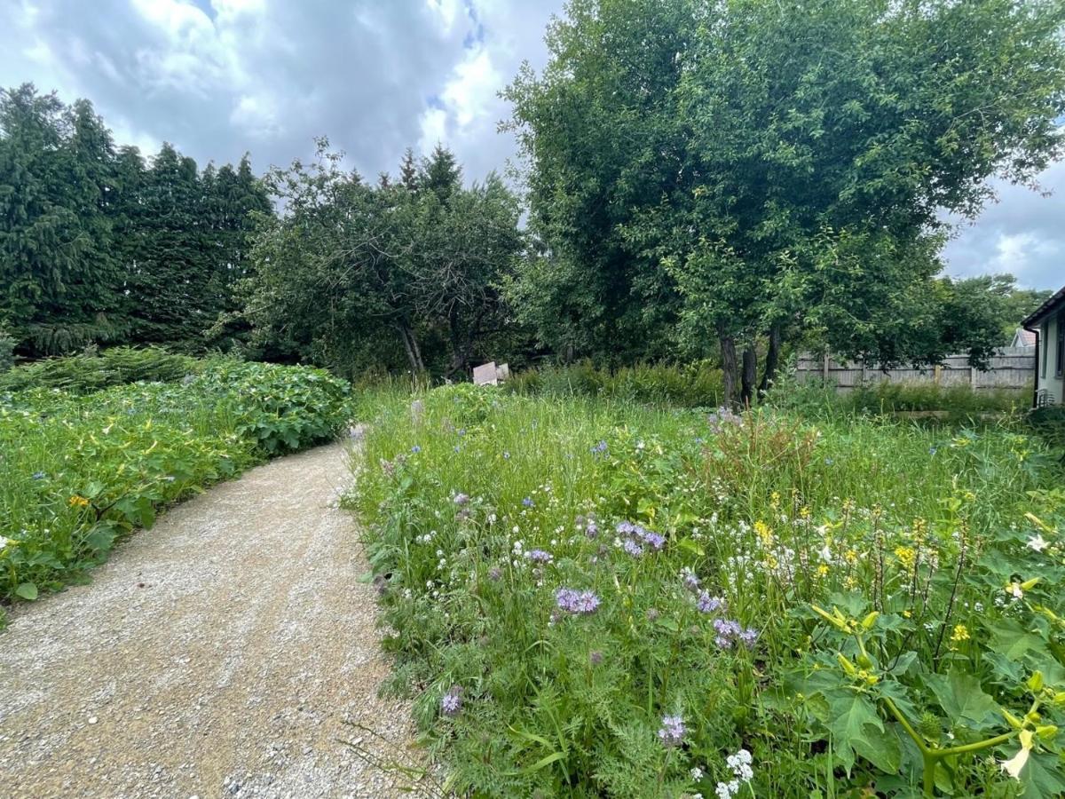 The Bearded Goat Den - A Rural Retreat At This Modern Holiday Cottage Saint Leonards Buitenkant foto