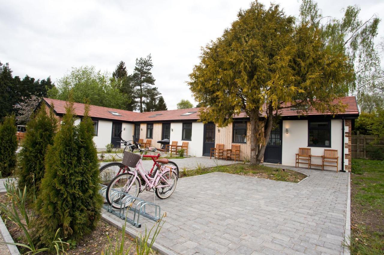 The Bearded Goat Den - A Rural Retreat At This Modern Holiday Cottage Saint Leonards Buitenkant foto